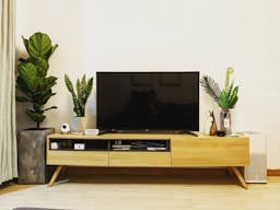 powered off TV on bamboo TV shelf with plants